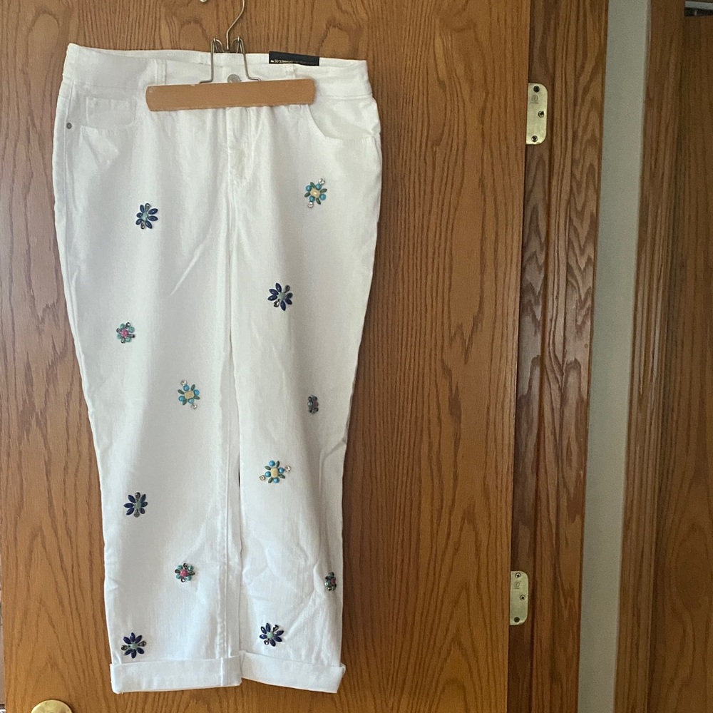 Chico’s So Slimming Girlfriend with Blue & Multicolor Floral Embroidery